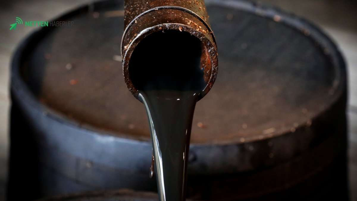 Türkiye'nin Enerji Haritasında Kritik Uzatmalar: Petrol Arama Ruhsatları Genişliyor