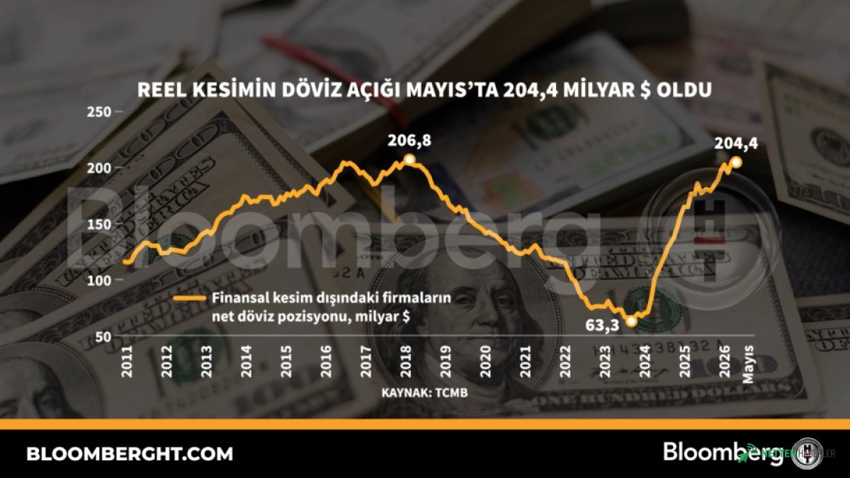 Türkiye'nin Döviz Yükü Katlanıyor: Reel Sektörün Açığı 204 Milyar Dolara Fırladı!