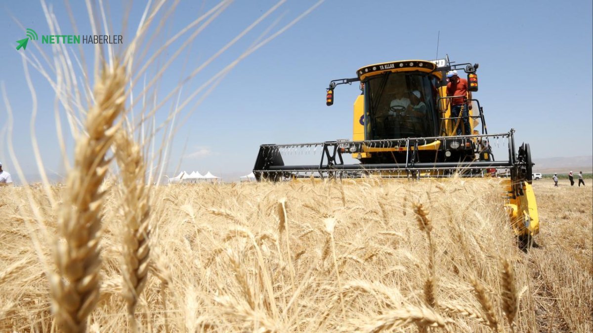TMO'dan Üreticiye Güvence: 2026 Hububat Alım ve Satış Fiyatları Netleşti