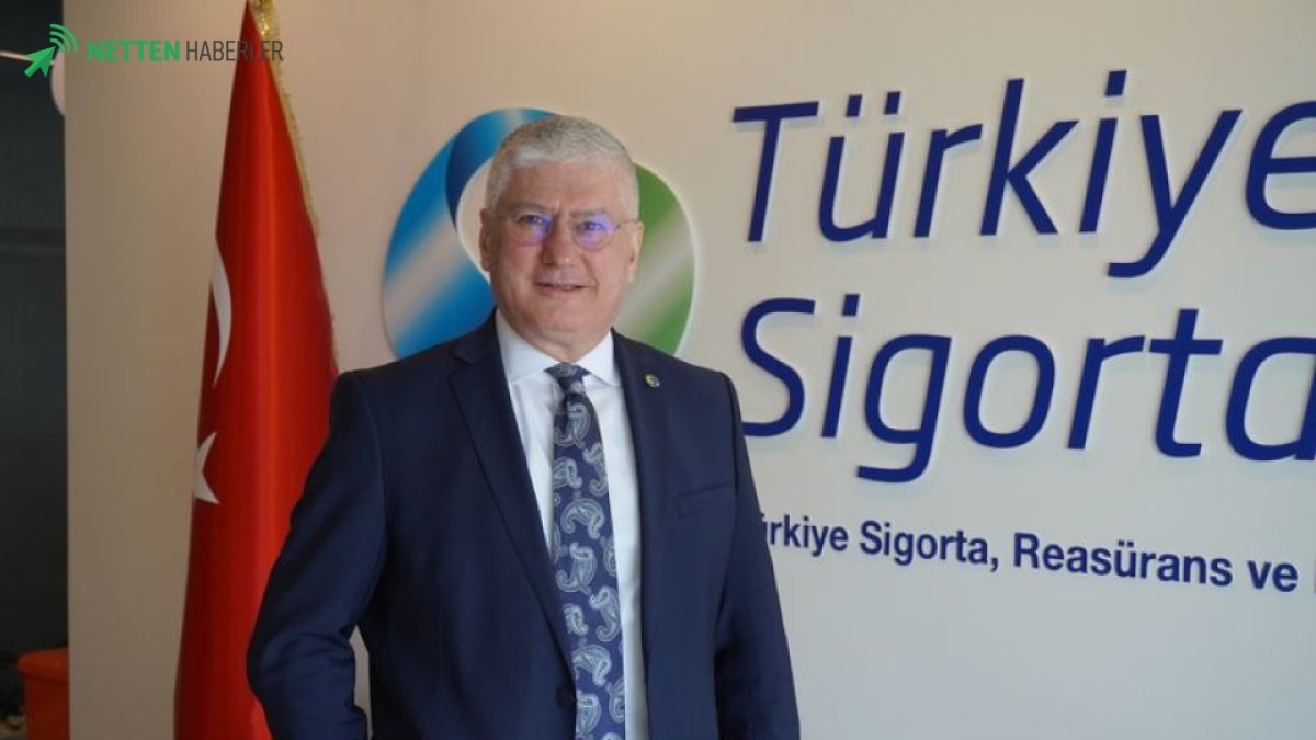 Sigorta Savaşları Kızıştı: Kasko ve Trafik Poliçeleri Neden Cep Yakıyor? Gizlenen Gerçek Ortaya Çıktı!