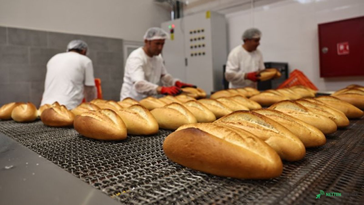 Zincir Market Rafları Kadın Emeğiyle Donanacak: Yeni Yönetmelik Tedarik Zincirini Yeniden Şekillendiriyor!