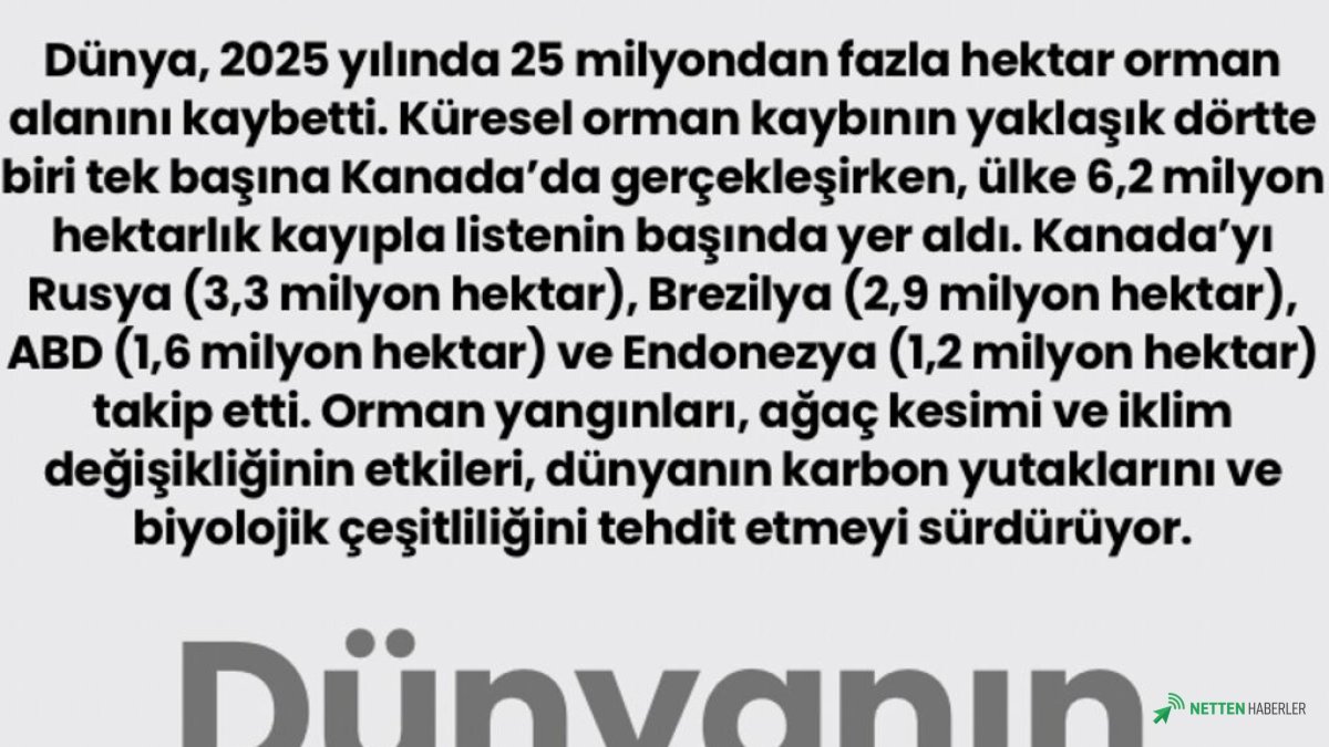 Kanada'da Yangınlar Durmuyor: Dünya Nefesini Tutmuşken Ormanlar 'Kanser Gibi' Yok Oluyor!