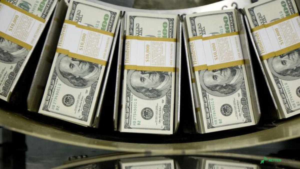 Dolar ve Euro Sahnesi Karıştı: Bankalardaki Yabancı Para Patladı, Yatırımcılar Akın Etti mi?