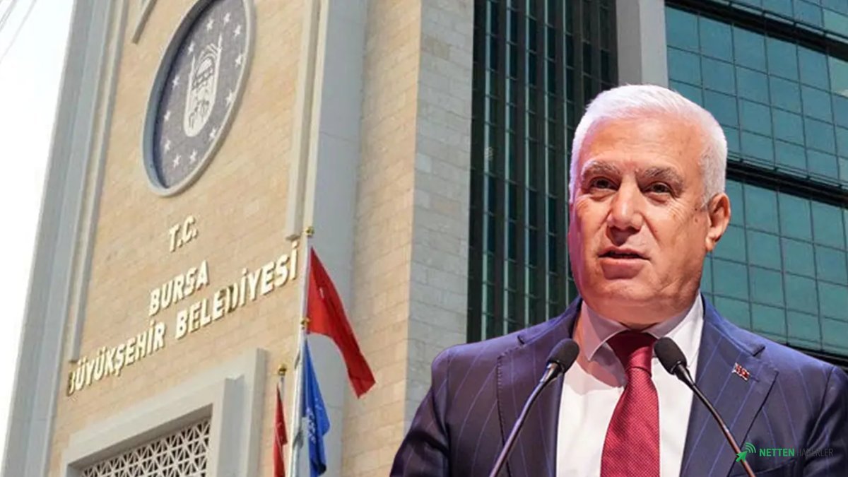 Pasta Kutusu Sırrı Çözüldü: 'Bozbey Örgütü' İddianamesinden Çarpıcı Detaylar!