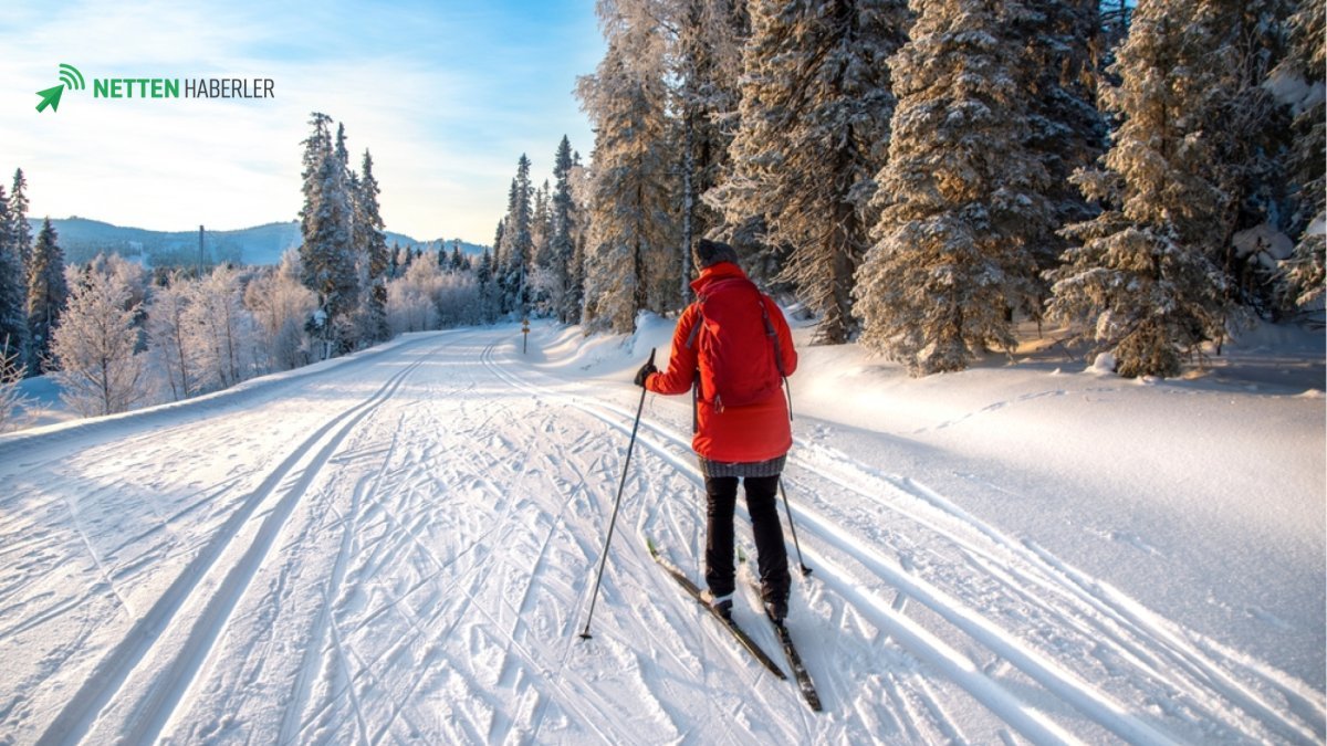 Lapland'da Yazın Gizemi: 20 Bin Euroluk Altın Külçesi Avı Turizmi Canlandırıyor
