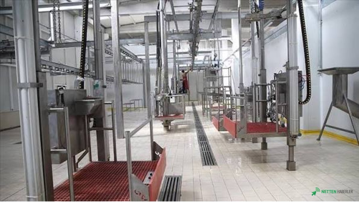 Kesimhanelerde Devrim: Tüm Hareketler Kamerada! Güvenli Et İçin Tarih Verildi