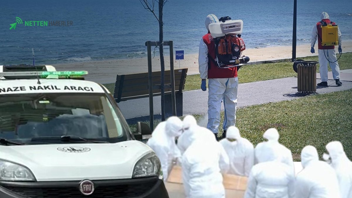 Isınan Havalarla Gelen Kene Tehdidi: Sivas'ta Can Kaybı Üçe Yükseldi, Risk Haritası Genişliyor