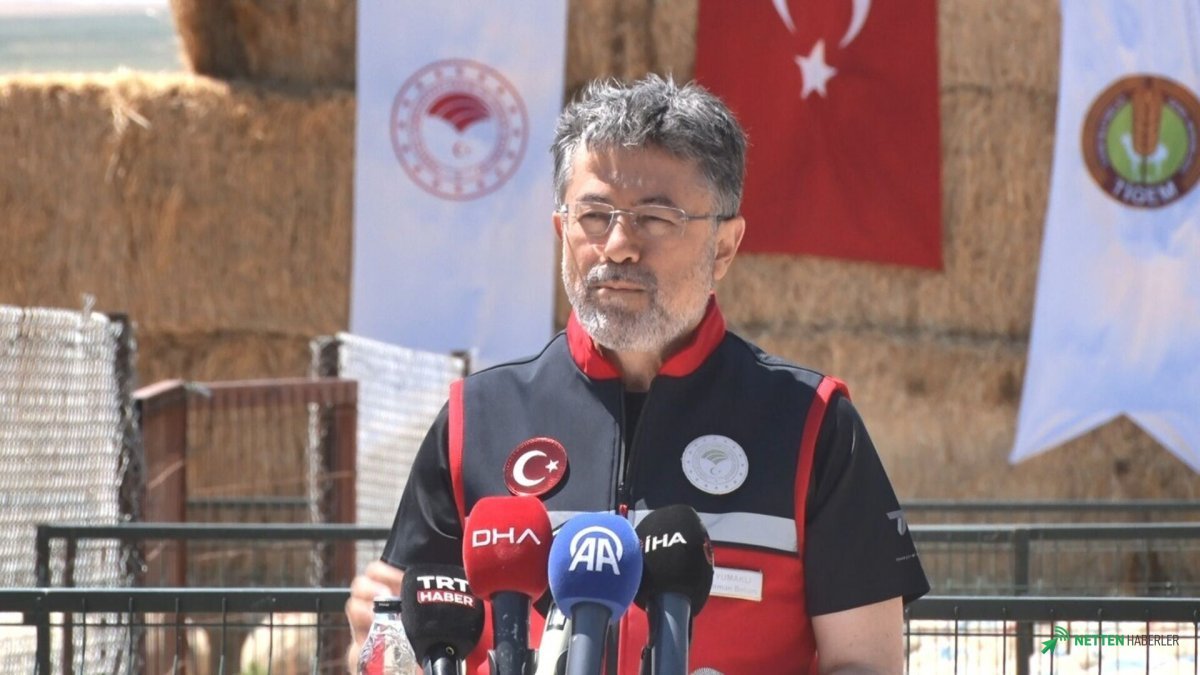 160.000 Küçükbaş Hayvan Kırsala Dağılıyor: Çiftçilerin Beklediği Büyük Destek Başladı!